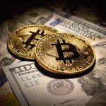 Warren Gave Trump Until Today to Show His Crypto Earnings.…
